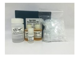 Kit De Purificação De DNA Em Banda De Gel - 100 Reações - Biotec